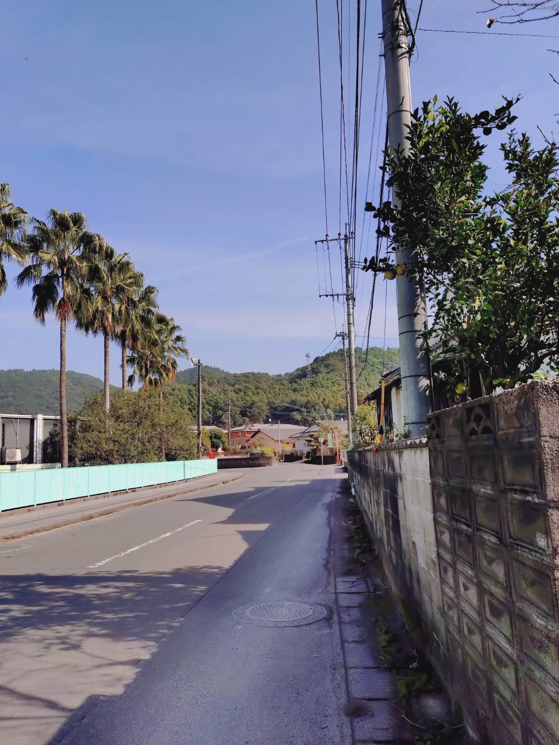 火山灰舞う国分，鹿児島の洗礼かな